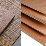 triplek vs multiplek